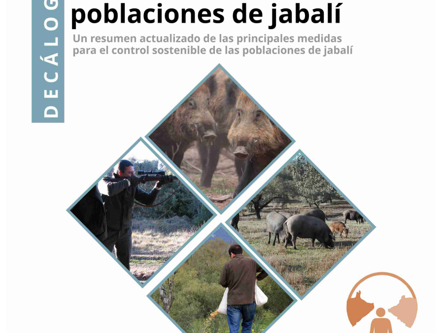 Presentado el decálogo ‘Principales medidas para el control sostenible de las poblaciones de jabalí’