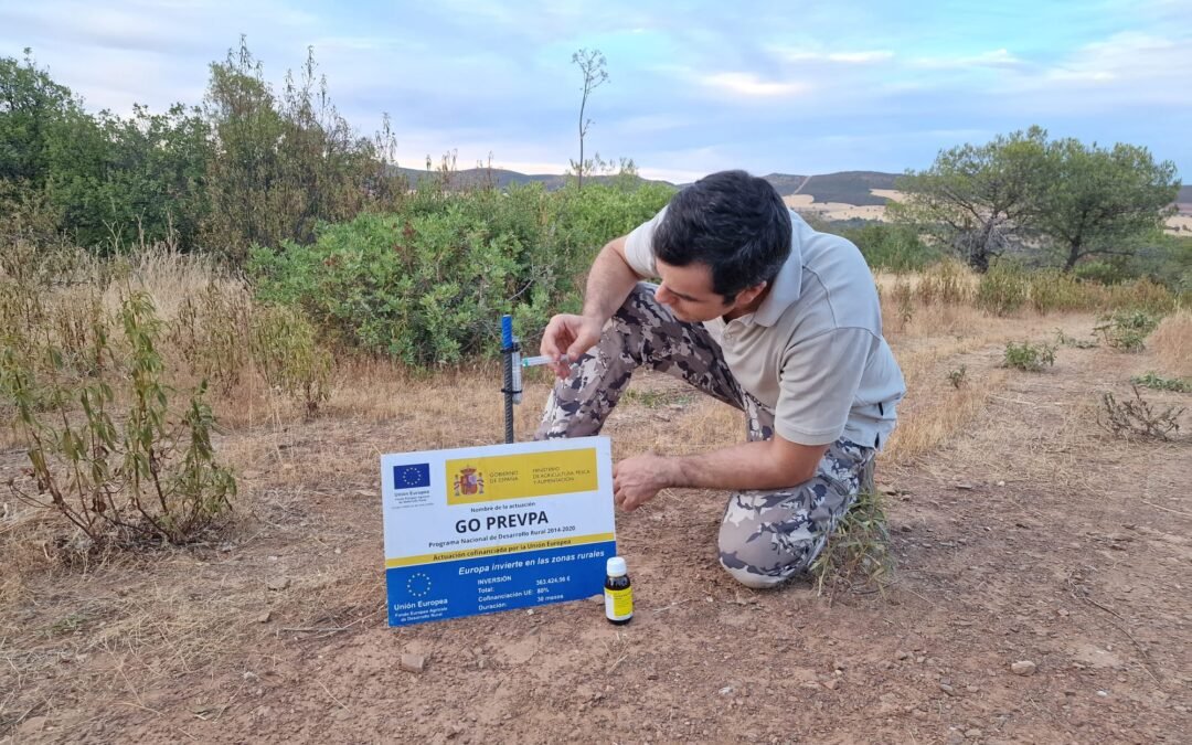 Un estudio piloto analiza el efecto de aromas ecológicos para la atracción del jabalí